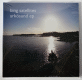 Bing Satellites - Arkösund EP
