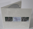 Bing Satellites - Frozen in Time (Atmospheres & Textures volume one)