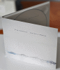 Bing Satellites - Just for a Moment