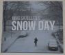 Bing Satellites - Snow Day
