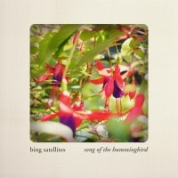 Bing Satellites - Song of the Hummingbird